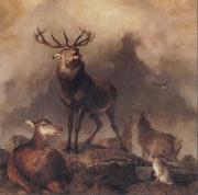 Sir Edwin Landseer A Majestic Gathering oil painting on canvas